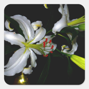 Design für irische Blume Quadratischer Aufkleber