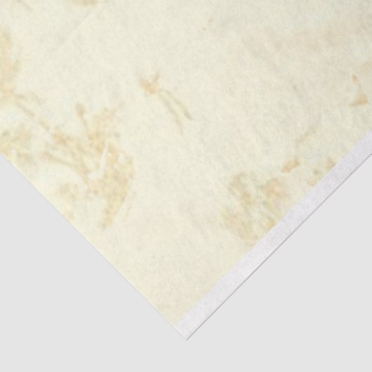 Design für Shabby Chicen 4 Seidenpapier (Ausschnitt)