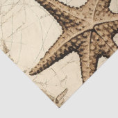 Design für Shabby Chicen der Automobilserie 5 Seidenpapier (Ausschnitt)