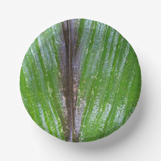 Design für türkisblaues Leaf - 7 Zoll Pappteller (Vorderseite)