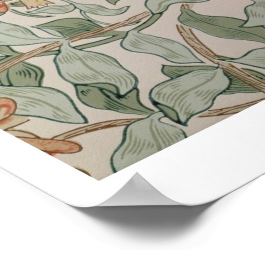 Design "Honeysuckle II" Poster (Ecke)