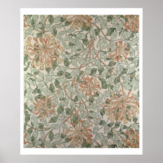 Design "Honeysuckle II" Poster (Vorne)