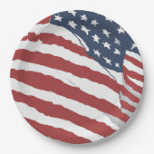 Design mit gestresster US-Flagge Pappteller (Vorderseite)