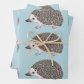 Design-Muster für afrikanische Pygmäen-Igel-Cartoo Geschenkpapier Set (Beispiel)