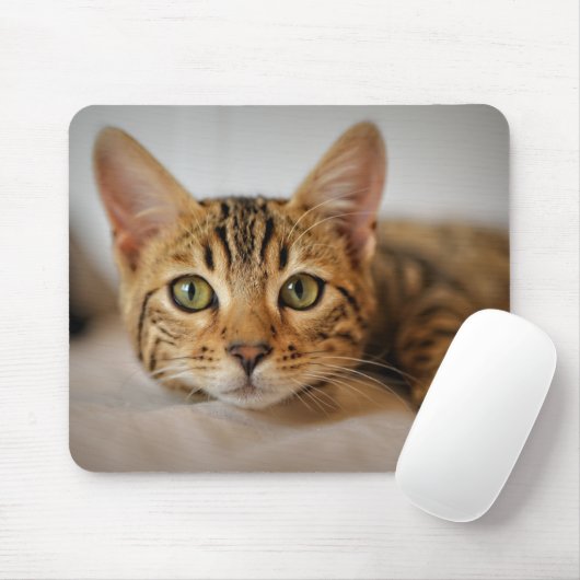 Design - Niedlich Kitten Mousepad (Mit Mouse)