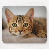 Design - Niedlich Kitten Mousepad (Vorne)