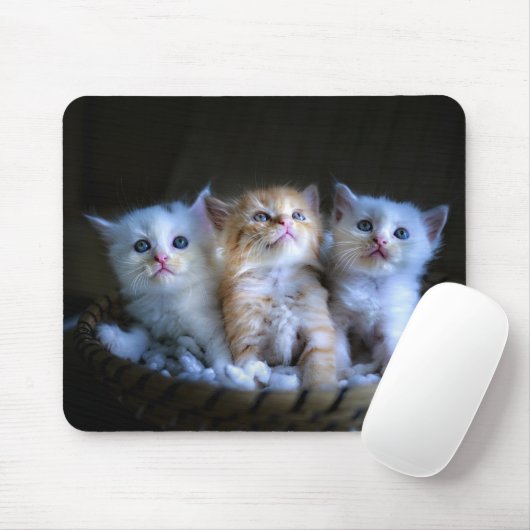 Design - Niedliche Kätzchen Mousepad (Mit Mouse)