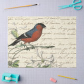 Design One der Ephemeride Birds Serie Seidenpapier (Basteln)