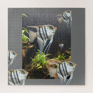 Design-Puzzle: Tropisch gestreifter Fisch Puzzle