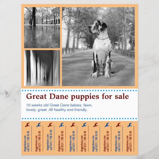 Design Selling Puppy Flyer (Vorne)