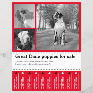 Design Selling Puppy Flyer