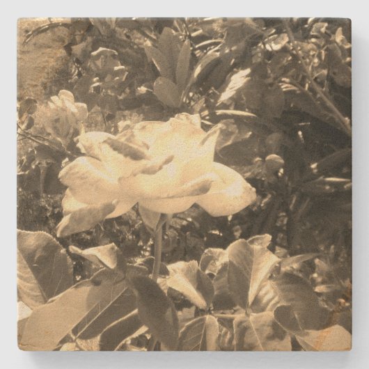 Design-Stil aus Stein-Untersetzer Steinuntersetzer (Vorderseite)