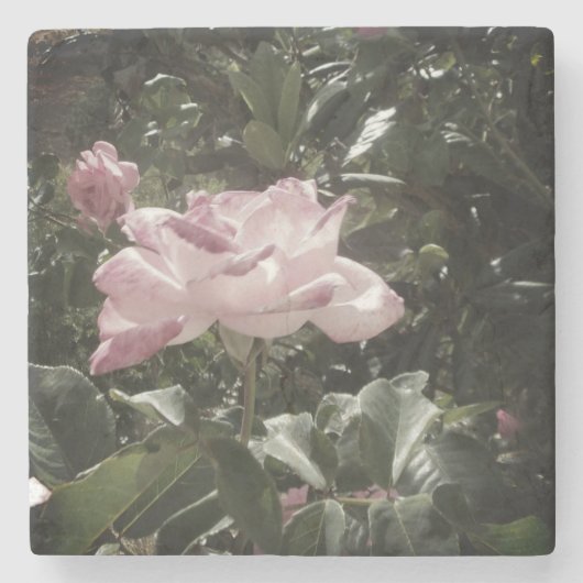 Design-Stil aus Stein-Untersetzer Steinuntersetzer (Vorderseite)