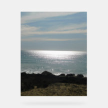 Design-Stil der Akryllischen Schildkröte