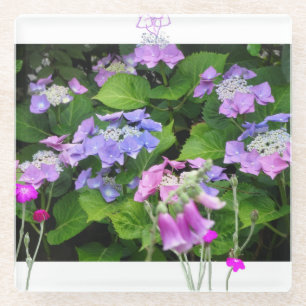 Design-Untersetzer für Lila Hydrangea-Komponenten Glasuntersetzer