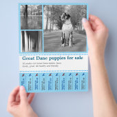 Design Verkauf Welpen Flyer (Hand)
