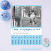 Design Verkaufshund Flyer (Einzeln)