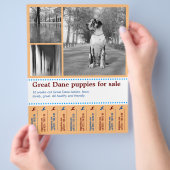 Design Verkaufshund Flyer (Hand)