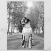 Design Verkaufshund Flyer (Hinten)