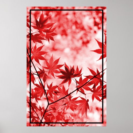 Design von Ahornbaumen-Blätter Poster (Vorne)