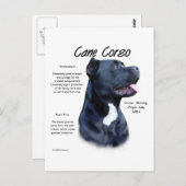 Design von Cane Corso History Postkarte (Vorne/Hinten)