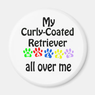 Design von kurvenförmigen Retriever-Walks Magnet