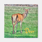 Design von Rotwild und Wildtieren Magnet (Vorne)