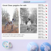 Designer-Abreißzettel Deutsche Dogge Flyer (Einzeln)