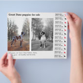 Designer-Abreißzettel Deutsche Dogge Flyer (Hand)