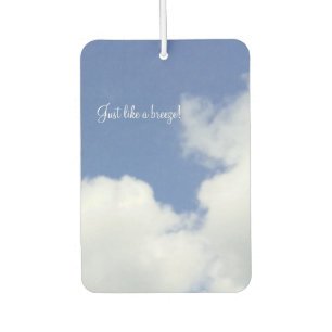 Designer Air Freshener Autolufterfrischer