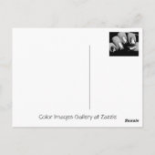 Designer Fingernails Postkarte (Rückseite)