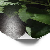 Designer Gigant Gelbe Sonnenblume auf Dunklem Zaun Fotodruck (Ecke)