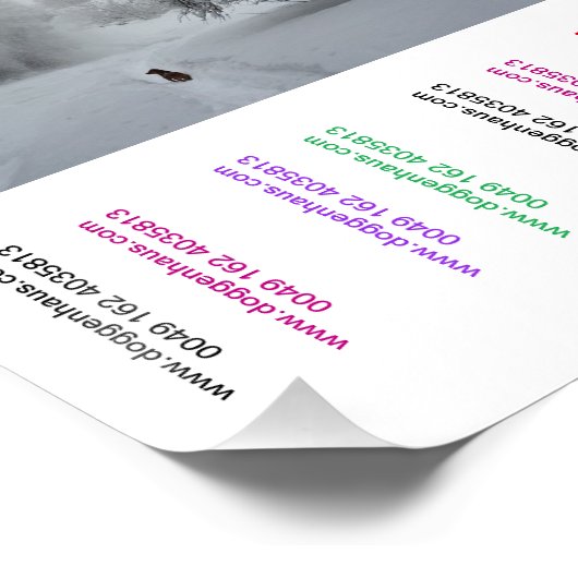 Designer Great Dane Puppy Poster (Ecke)