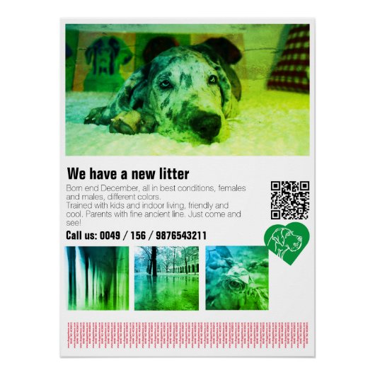 Designer Great Dane Puppy Poster (Vorderseite)