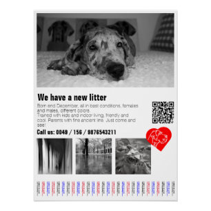 Designer Great Dane Welpen Flyer Poster