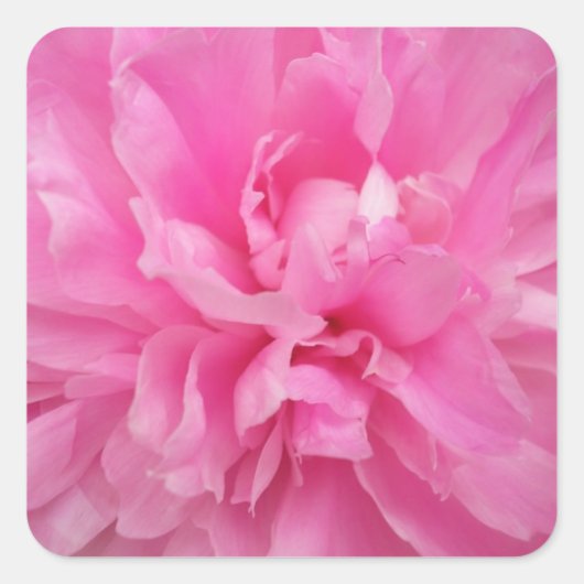 DESIGNER PINK FLORAL UMSCHLAG AUFKLEBER UND STICKE (Vorderseite)