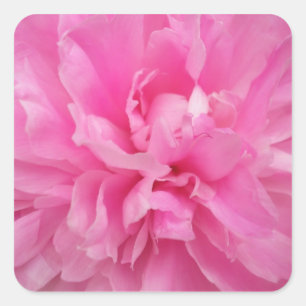 DESIGNER PINK FLORAL UMSCHLAG AUFKLEBER UND STICKE