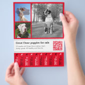 Designer Tee off Great Dane Flyer (Hand)