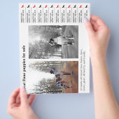 Designer Tee off Great Dane Flyer (Hand)