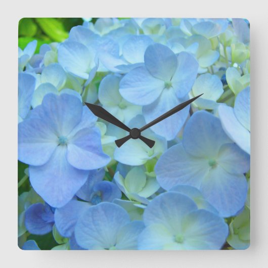 Designer Uhren Beautiful Blue Hydrangea Blume (Vorderseite)