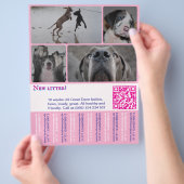 Designer Welppy Selling Flyer 4 Bilder (Hand)