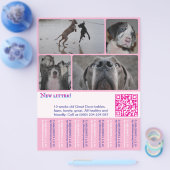 Designer Welppy Selling Flyer 4 Bilder (Einzeln)