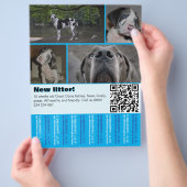 Designer Welppy Selling Flyer 4 Bilder (Hand)