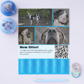 Designer Welppy Selling Flyer 4 Bilder (Einzeln)