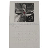 "Designer's Treasure Cove" (zwei Seiten) Kalender (Feb 2026)