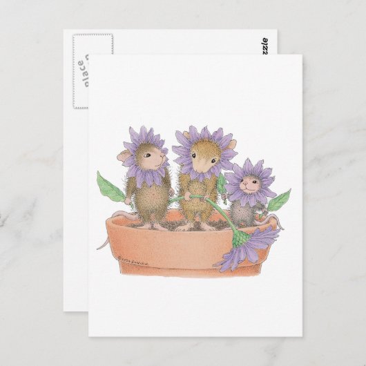 Designs für Hausmäuse® - Postkarte (Vorne/Hinten)
