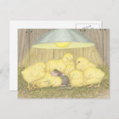 Designs für Hausmäuse® - Postkarten (Vorne/Hinten)