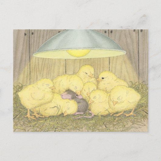 Designs für Hausmäuse® - Postkarten (Vorderseite)