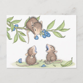 Designs für Hausmäuse® - Postkarten