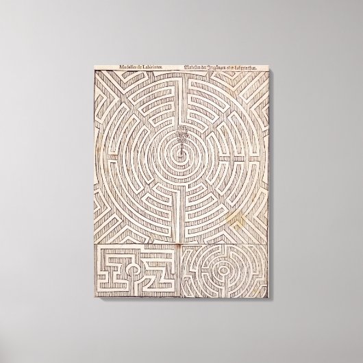 Designs für Labyrinthe, von "The Dutch Gardener" v Leinwanddruck (Vorderseite)